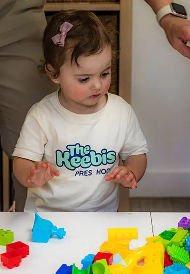 The Keebis Preschool Curriculum 6